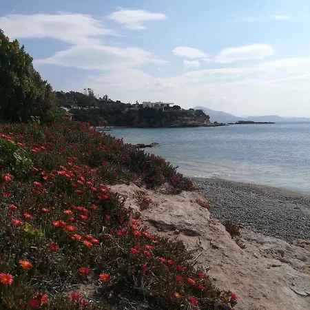 Studio Agia Marina Koropi Exterior photo