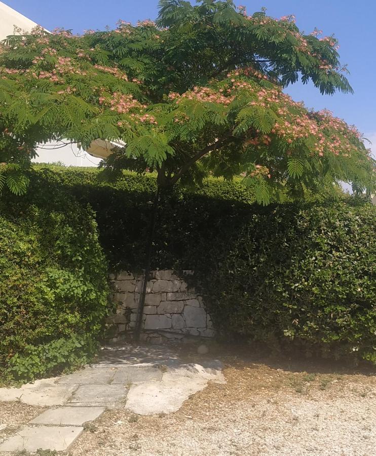 度假居 Agia Marina Koropi