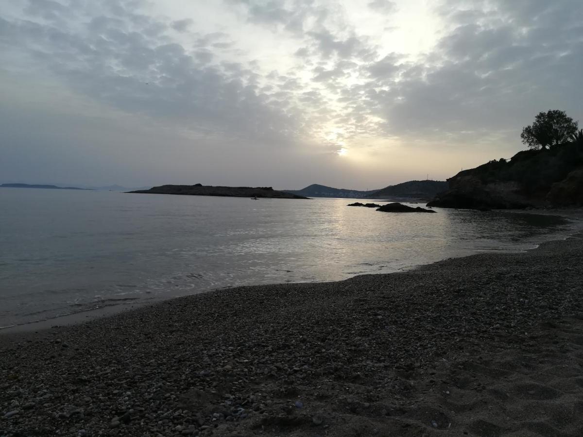 Agia Marina Koropi 度假居