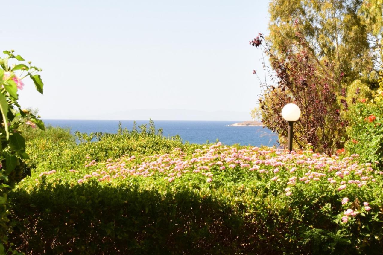 度假居 Agia Marina Koropi *
